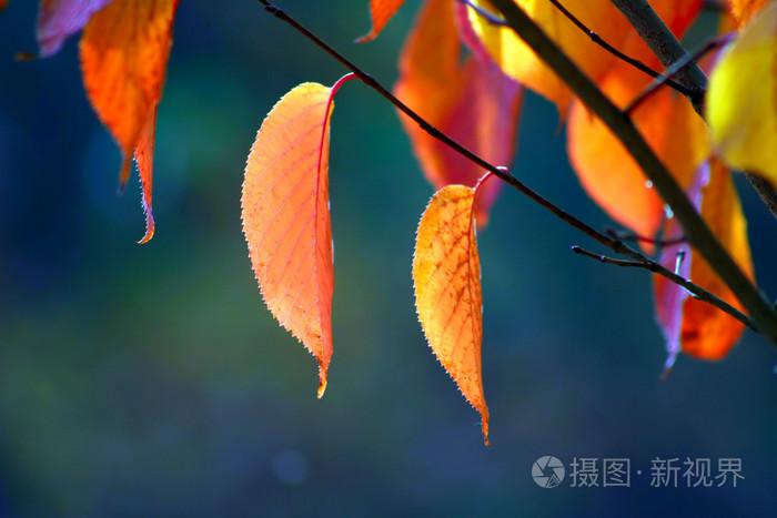 岛国午夜4k,chinese国产hd中国熟女,av无码毛片久久喷潮水