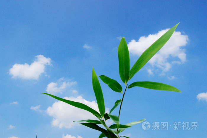 国产成人精品自在线播放联合,老师含紧一点h边做边走电影,中文字幕不卡一区2021